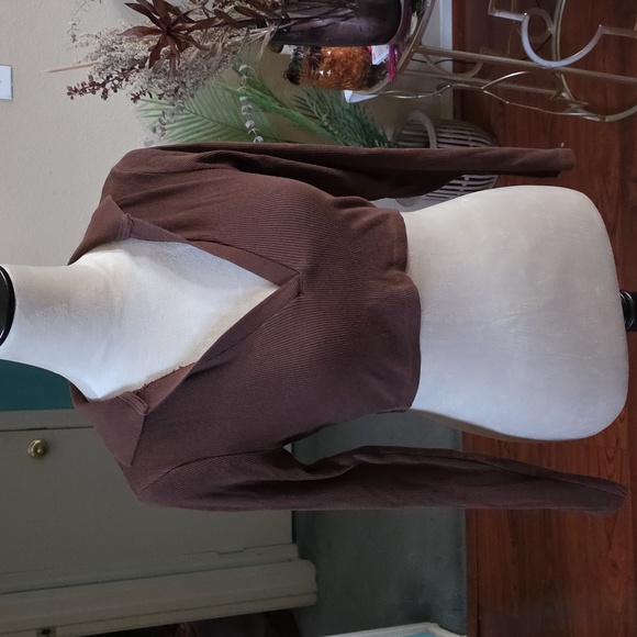 Zara Tops - Zara Chocolate Brown Long Sleeve Crop Top